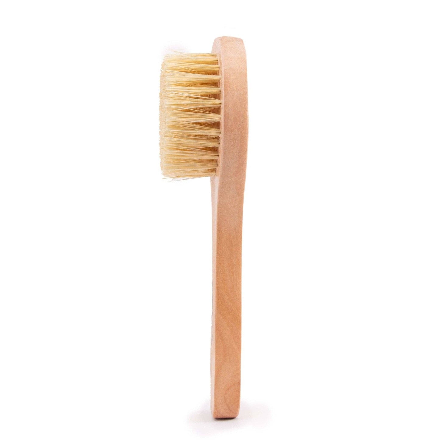 Grace & Stella Co Dry Brush